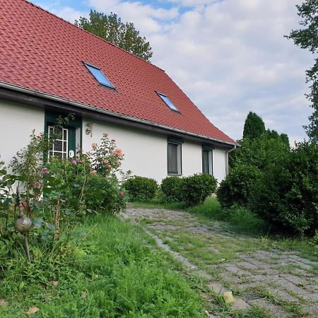Oeko-Ferienhaus Rappin Exteriér fotografie