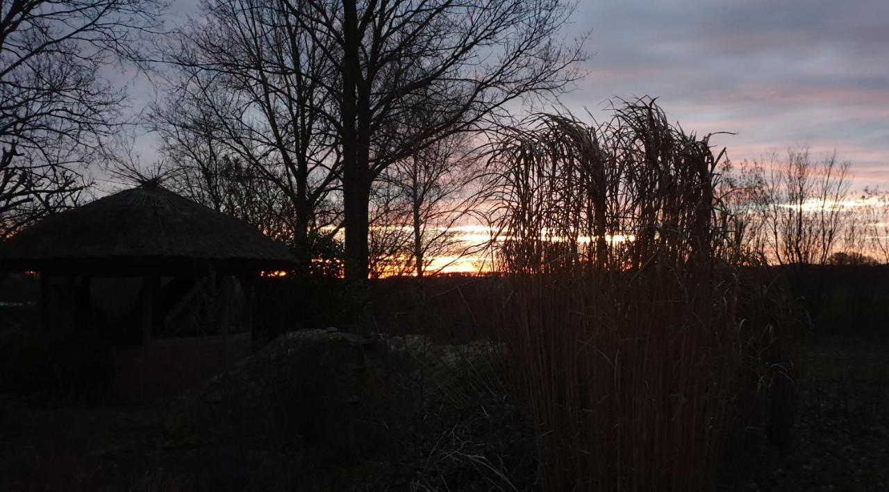 Oeko-Ferienhaus Rappin Exteriér fotografie