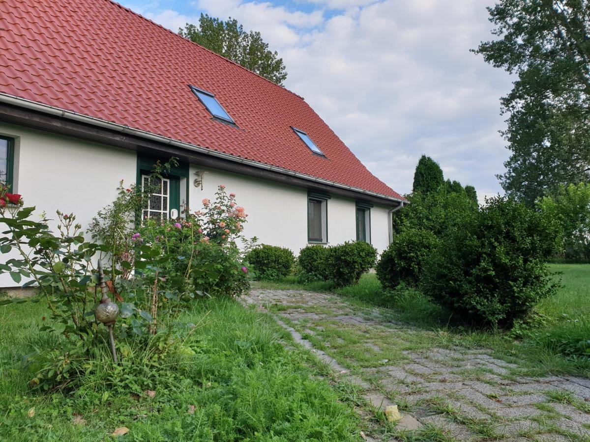 Oeko-Ferienhaus Rappin Exteriér fotografie